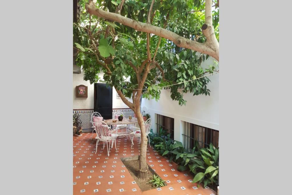Casa En Granada Con Hermoso Jardin, Parking Calle エクステリア 写真